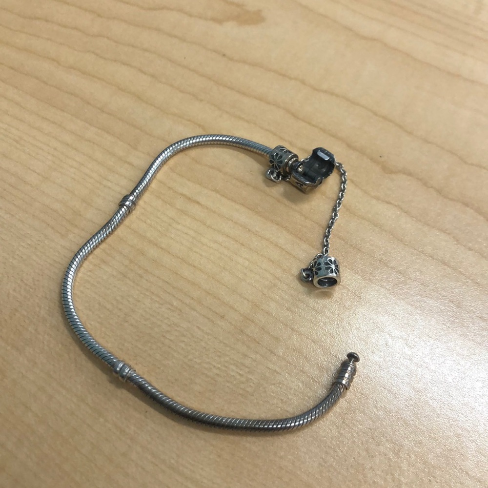 Pandora Charm Bracelet
